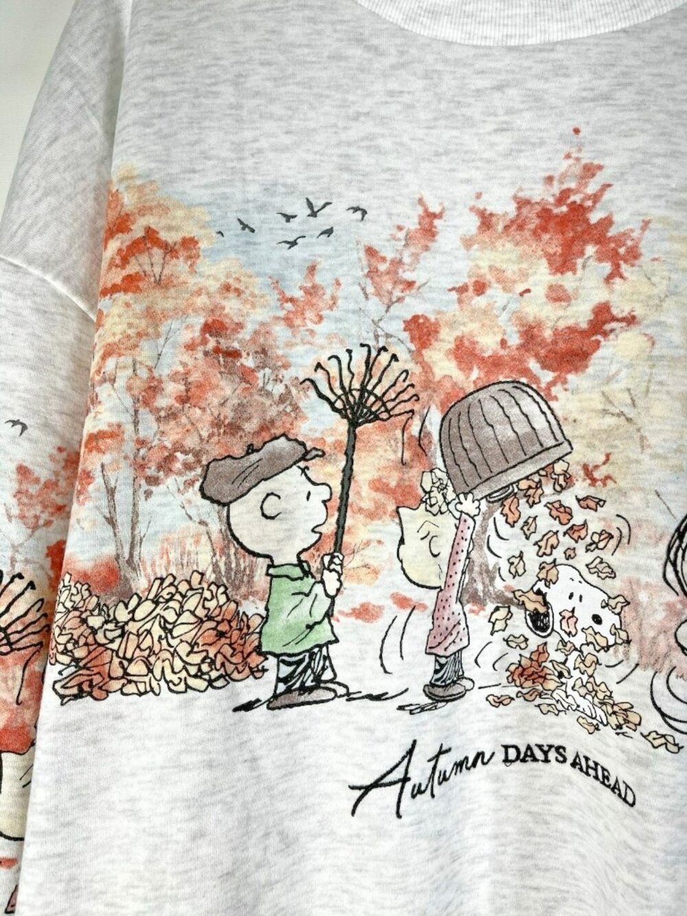 Peanuts Gang Snoopy And Friends Womens Large Autumn Days Ahead Sweatshirt - Picture 7 of 16